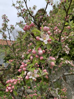 u4FzW+WXQqmrG2EjG1pY9g