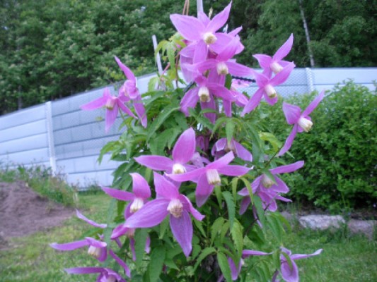 photo_9571