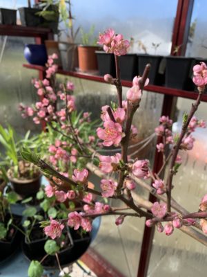 RAa0scexQD6a0TIcdtEIgA