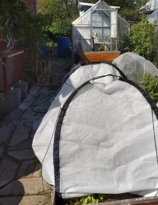 20200513_160935