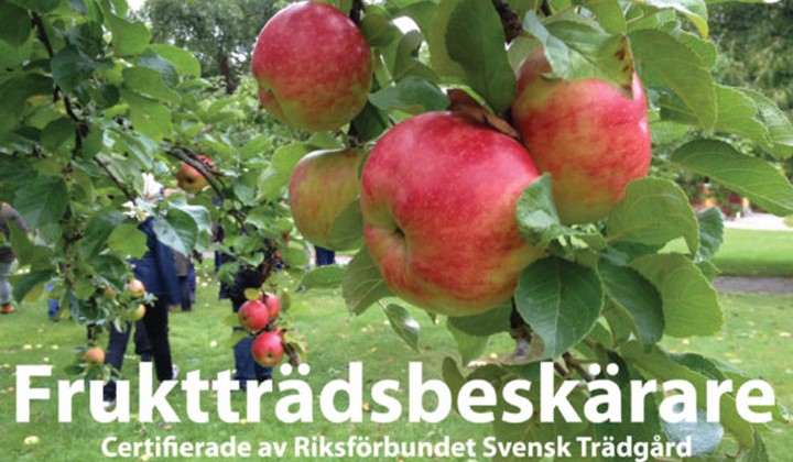 Frimansgården Träd och Frukt AB