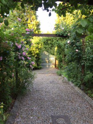 9BE606FA-F1DF-46C6-AD6E-266F832D90D9