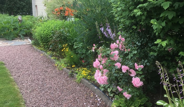 Bellas trädgård, Ronneby