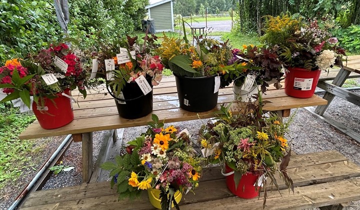 Blommornas dag, Arnäsvall