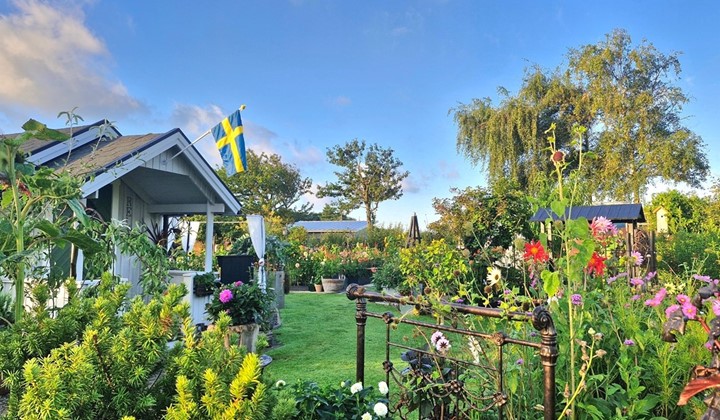 Aprilscottagegarden, Varberg