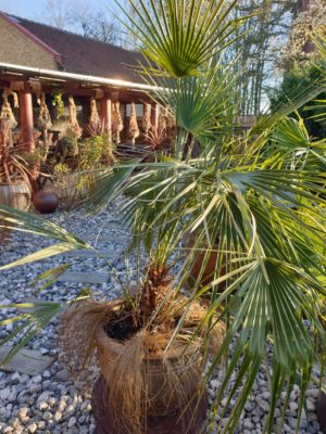 wilson park garden kruka new