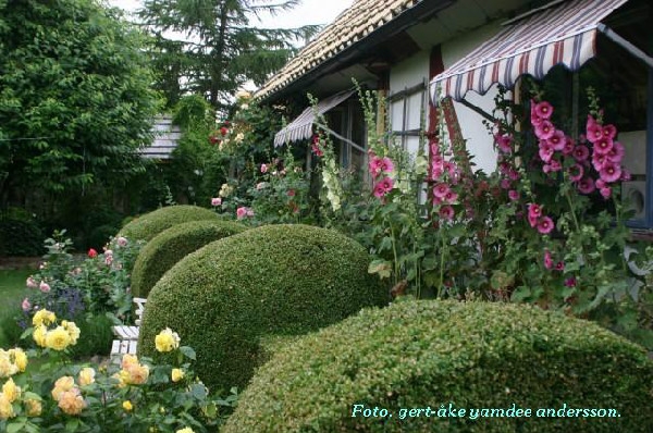 photo_4662