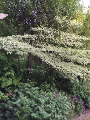 6A1B2919-2A37-4A31-990B-65392DB54721