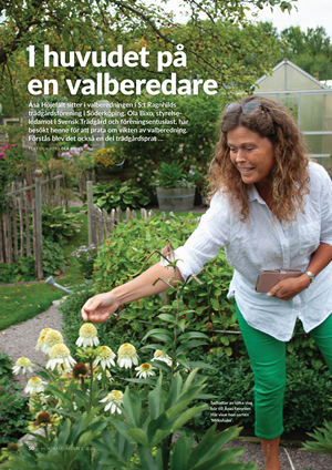 I huvudet på en valberedare