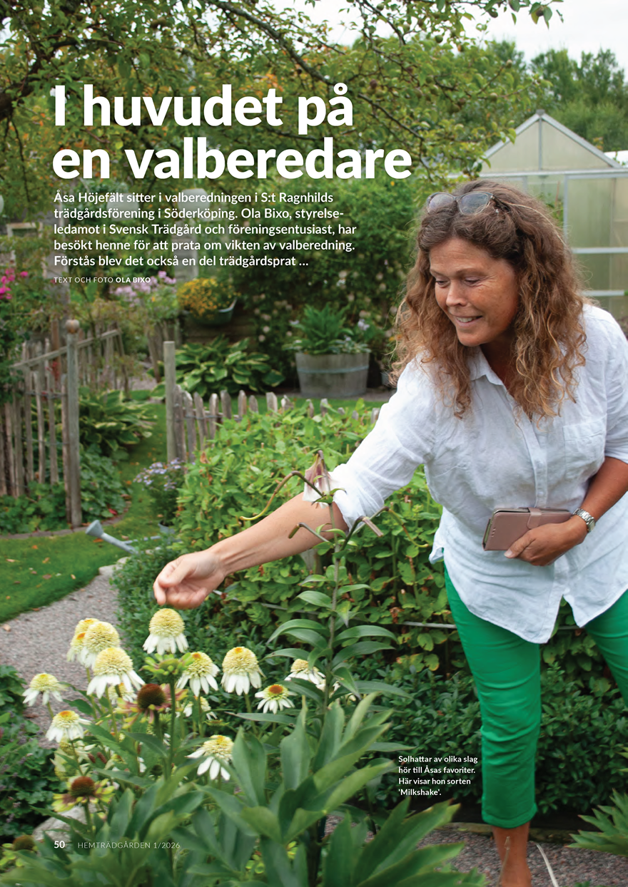 Artikel Bild I Huvudet På En Valberedare