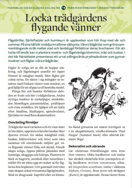 Faktablad 14 - Locka fåglar