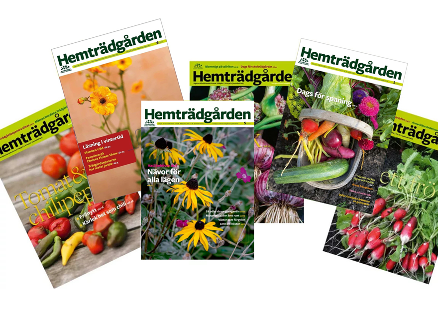 Hemtradgarden Prenumerera