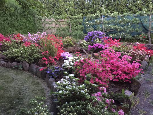 C548C004-0A65-493D-ABA5-6919B3CBF815