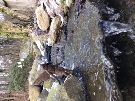 7BBDA3D6-5BF8-46CC-B350-E696A234F138