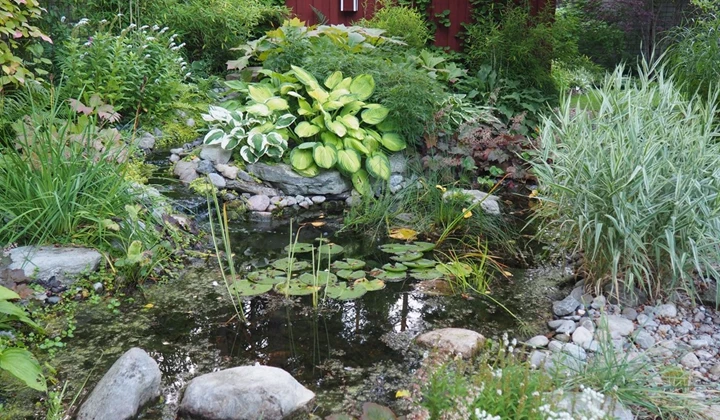 Ann-Mari och Ingemars trädgård, Västerås