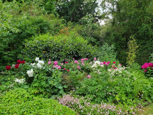 20200618_155010_resized