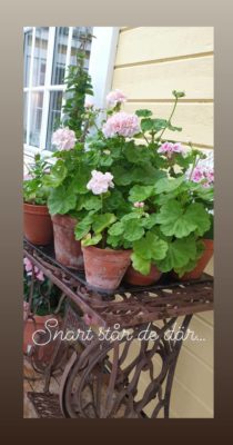 IMG_20200511_162234_702