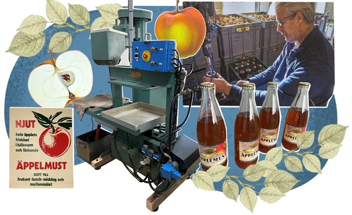 Äppelmusten // Illustration av Jennie Berström