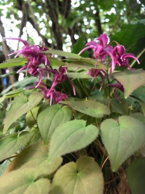 CC1B2420-0B7E-4463-A2C3-4743498194C3