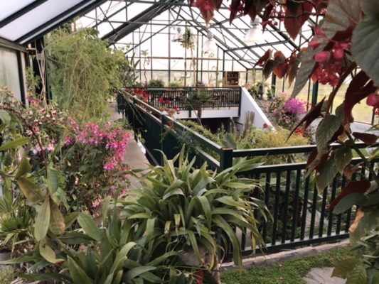 BD459CCD-718A-4A91-9580-589BE21BB178