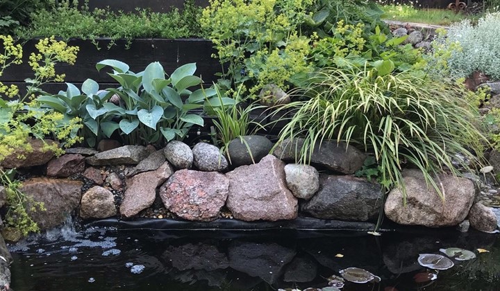 Sollentuna Trädgårdsgille, Sollentuna