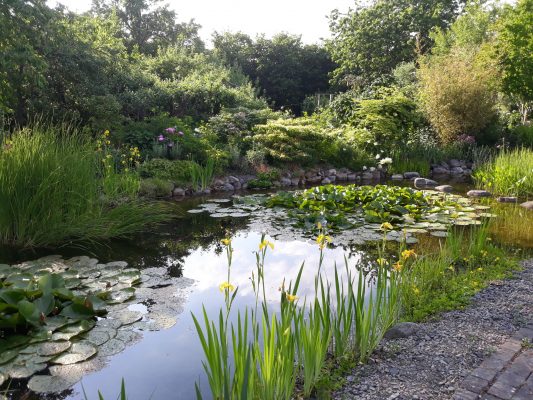 20180604_175856_resized