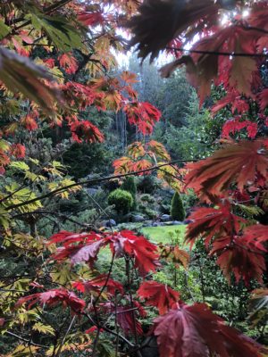 A3F99B26-A4A3-4DF4-9906-8A5030620F58