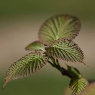 IMG_20180514_233831_736