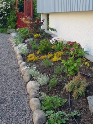 20190604_191241 nyanlagd rabatt