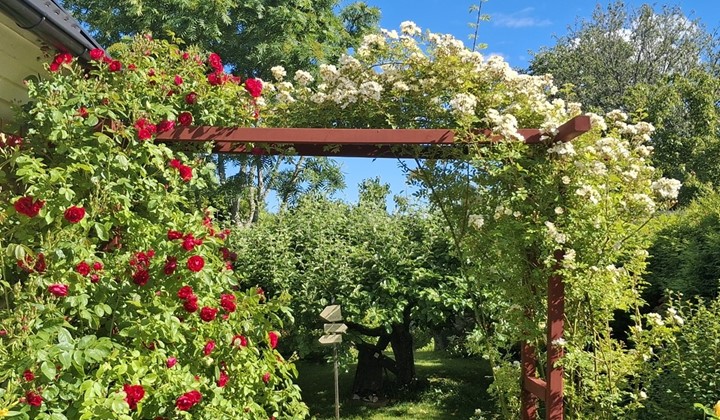 Zetterbergs trädgård, Västerås