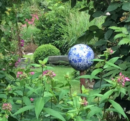 49D229C6-3072-4441-8AA4-74795990502B