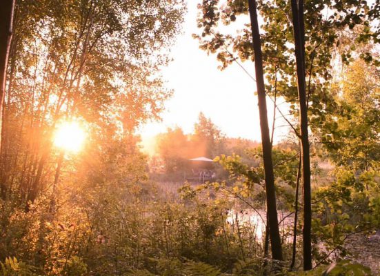 20776482_10154652021805614_5586289560649995313_o