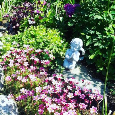 IMG_20190520_154642_390