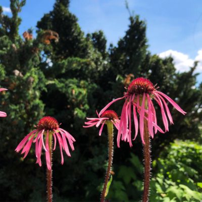 AA795A76-FD8F-4B16-9293-27CFB76B7089