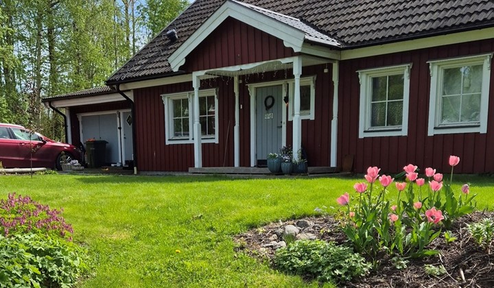 Ylvas trädgård, Umeå