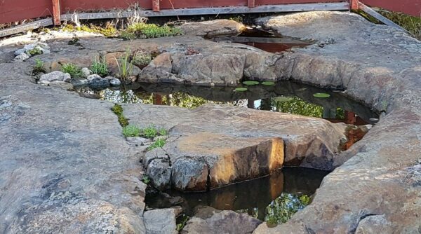 shared_image_16383118971536666616445024197712