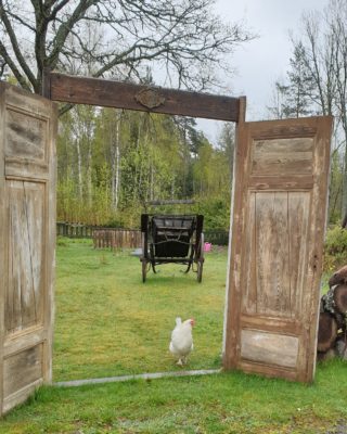 IMG_20200514_065318_445