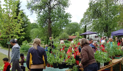 Marknad i Barnens trädgård i Åkersberga 2014