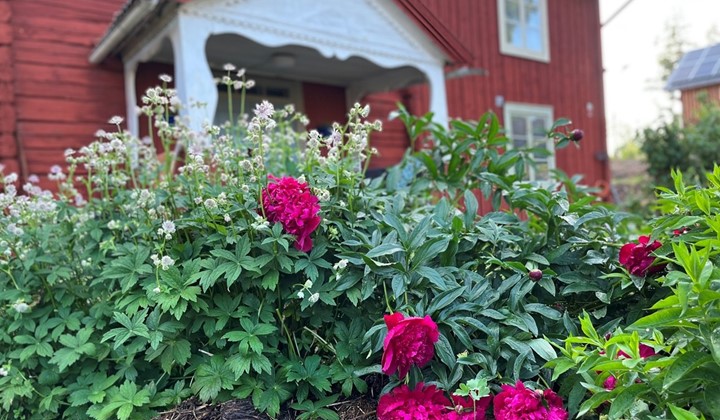 Hemmingsbo Gård, Falun