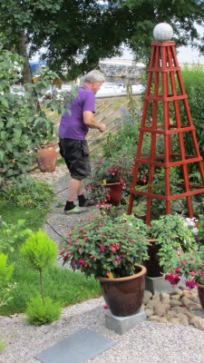 juli 2014 trädgård 043