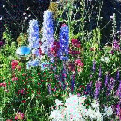 IMG_20190617_085702_906