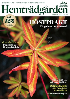 Hemträdgården 5/2025