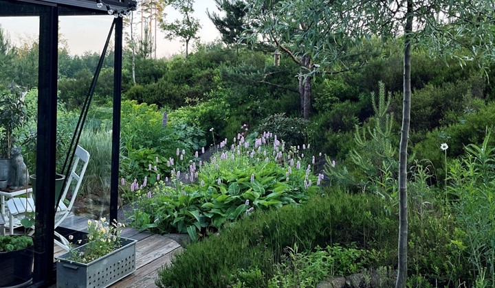 Black House Garden, Hindås