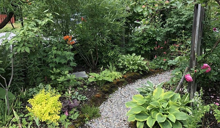 Öppen trädgård i Brännland