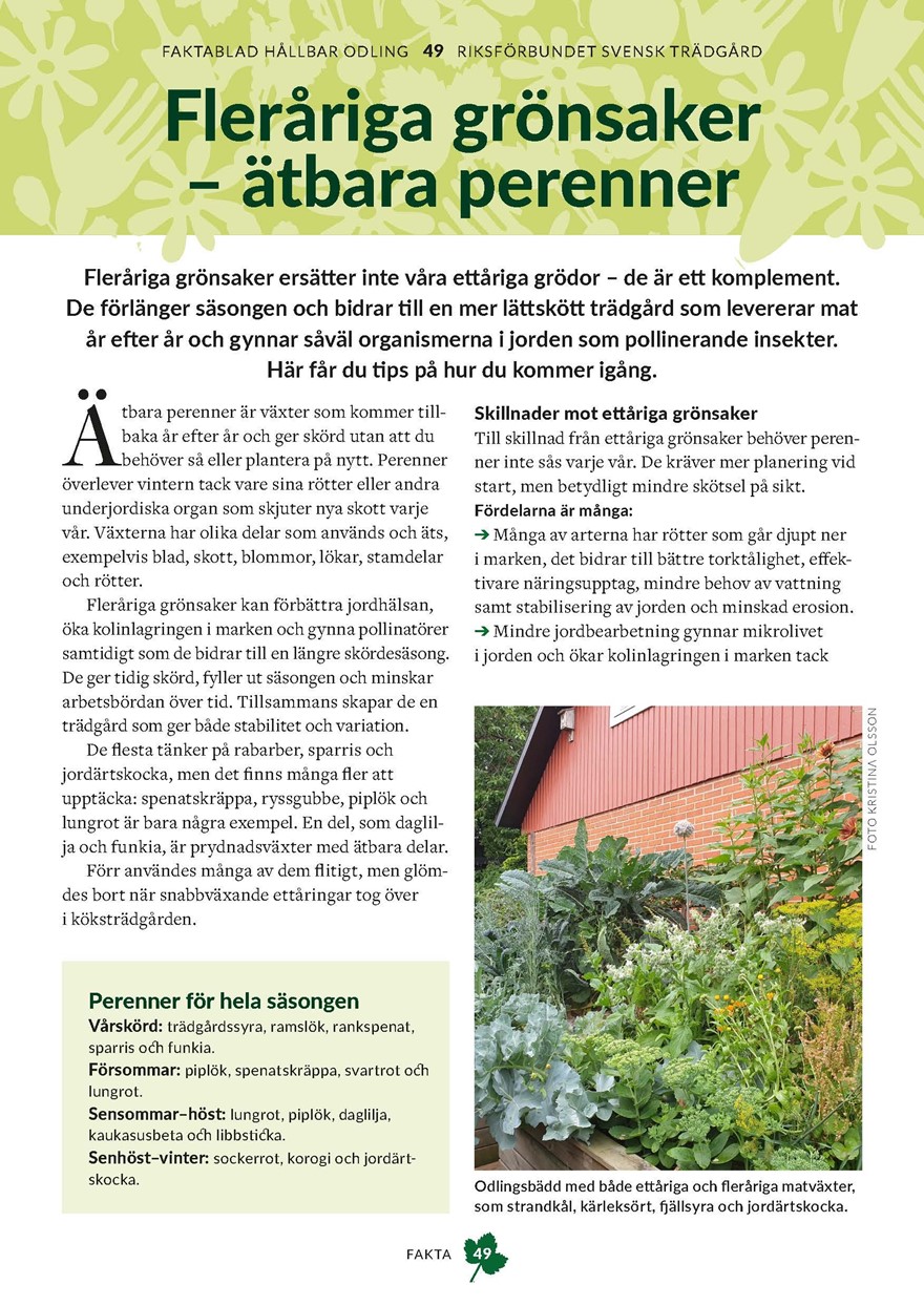 Faktablad 49 Perenna Grönsaker A4 Utskrift.Pdf Sida 1