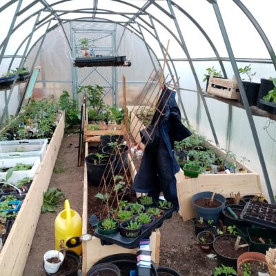 inbound2045673045141371009