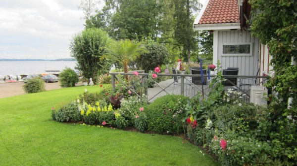 juli 2014 trädgård 036