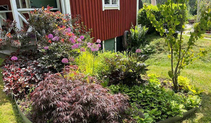 Trädgårdsbesök hos Pia på Fredriksdal, Gnesta