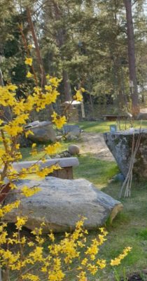 IMG_20200429_174618_429