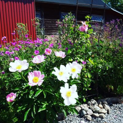 IMG_20180607_112801_217